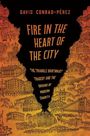 Titel: "Fire in the Heart of the City". Untertitel: "The Triangle Shirtwaist Tragedy and the Origins of Modern Charity". Illustration von Gebäuden vor Flammen.