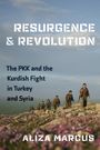 "Resurgence & Revolution: The PKK and the Kurdish Fight in Turkey and Syria" von Aliza Marcus. Soldaten auf blühendem Hügel.