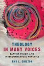 Amy L. Chilton: Theology in Many Voices, Buch