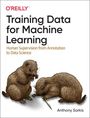 Anthony Sarkis: Training Data for Machine Learning, Buch