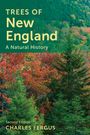 Charles Fergus: Trees of New England, Buch