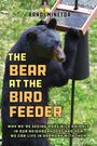 Randi Minetor: The Bear at the Bird Feeder, Buch