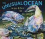 Meghan Jones: The Unusual Ocean, Buch