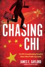 James E Gaylord: Chasing CHI, Buch