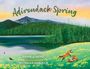 Brian J Heinz: Adirondack Spring, Buch