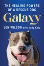 Jen Wilson: Galaxy, Buch