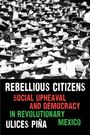 Ulices Pina: Rebellious Citizens, Buch