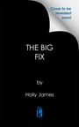 Holly James: The Big Fix, Buch