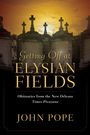 John Pope: Getting Off at Elysian Fields, Buch