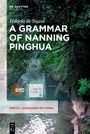 Hilario de Sousa: Sousa, H: Grammar of Nanning Pinghua, Buch