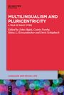 : Multilingualism and Pluricentricity, Buch