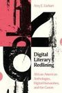 Amy E Earhart: Digital Literary Redlining, Buch