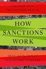 Narges Bajoghli: How Sanctions Work, Buch
