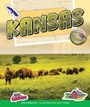 Ann Heinrichs: Kansas, Buch