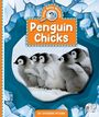 Catherine Ipcizade: Penguin Chicks, Buch