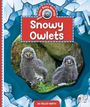 Kelley Barth: Snowy Owlets, Buch