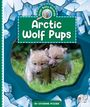Catherine Ipcizade: Arctic Wolf Pups, Buch