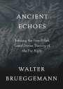 Walter Brueggemann: Ancient Echoes, Buch