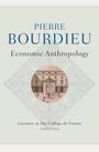 Pierre Bourdieu: Economic Anthropology, Buch