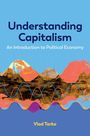 Text: "Understanding Capitalism: An Introduction to Political Economy, Vlad Tarko." Illustration: Bunte Berge vor blauem Himmel.