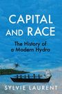 Sylvie Laurent: Capital and Race, Buch
