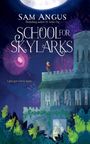Sam Angus: School for Skylarks, Buch