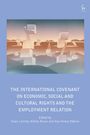 The International Covenant on Economic, Social and Cultural Rights and the Employment Relation, Buch