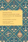 Gráinne McKeever: Effective Participation for Litigants in Person, Buch