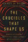 Gayle D Beebe: The Crucibles That Shape Us, Buch