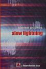 Steven Popkes: Slow Lightning, Buch