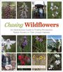 Phyllis Root: Chasing Wildflowers, Buch