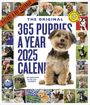 Workman Calendars: 365 Puppies-A-Year Picture-A-Day(r) Wall Calendar 2025, KAL