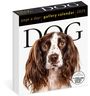 : Dog Page-A-Day® Gallery Calendar 2025, KAL