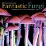 Workman Calendars: Fantastic Fungi Wall Calendar 2025, KAL