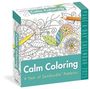 Workman Calendars: Calm Coloring Page-A-Day(r) Calendar 2025, KAL