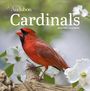 National Audubon Society: Audubon Cardinals Mini Wall Calendar 2025, KAL