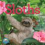 Lucy Cooke: Original Sloths Mini Wall Calendar 2026, KAL