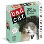 Workman Calendars: Bad Cat Page-A-Day(r) Calendar 2026, KAL