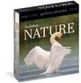 Workman Calendars: Audubon Nature Page-A-Day(r) Gallery Calendar 2026, KAL