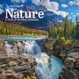 Workman Calendars: Audubon Nature Wall Calendar 2026, KAL