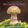 Workman Calendars: The Magical World of Mushrooms Wall Calendar 2026, KAL