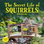 Nancy Rose: Secret Life of Squirrels Wall Calendar 2026, KAL