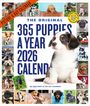 Workman Calendars: 365 Puppies-A-Year Picture-A-Day(r) Wall Calendar 2026, KAL