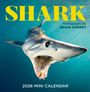 Brian Skerry: Shark Mini Wall Calendar 2026, KAL