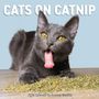 Andrew Marttila: Cats on Catnip Wall Calendar 2026, KAL