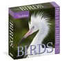 National Audubon Society: Audubon Birds Page-A-Day(r) Calendar 2027, KAL