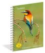 National Audubon Society: Audubon Engagement Calendar 2027, KAL
