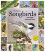 National Audubon Society: Audubon Songbirds and Other Backyard Birds Picture-A-Day(r) Wall Calendar 2027, KAL