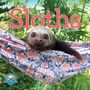„THE ORIGINAL Sloths 2027 MINI CALENDAR“, Lucy Cooke. Ein Faultier liegt in einer bunt gemusterten Hängematte.