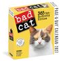 „bad cat 2027“, „365 Not-So-Pretty Kitties“. Bild einer mürrisch aussehenden Katze auf gelbem Hintergrund.
